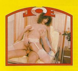 Joys Of Erotica loop 218 Hospital Lunch poster