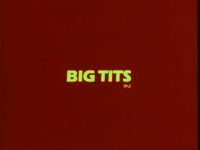 Teenage Pussy 1 - Big Tits 2 - title screen