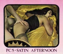 Platinum Collection 5 Satin Afternoon poster