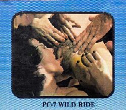 Platinum Collection 7 Wild Ride poster
