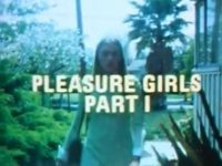 Pleasure Girls Part one poster