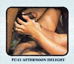 Platinum Collection 11 Afternoon Delight poster