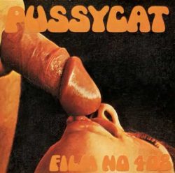 Pussycat Film 408 Big Tits poster