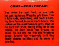 Checkmate 2 2 - Pool Repair description