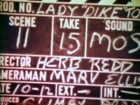 Mini Feature Lady Dyke Doctor title screen