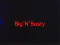 Big N Busty second title screen