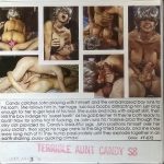 Diverse Industries - Terrible Aunt Candy original poster