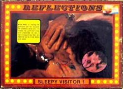 Reflections Sleepy Visitor loop poster