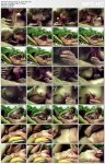 Nature Lovers Berry Pick loop thumbnails