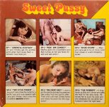 Sweet Pussy 4 Two Stud Poker back box