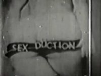 Seduction Sex Duction second title screen