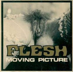 Flesh Moving Picture 66 - Sex By Mail compressed poster