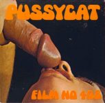Pussycat Film 408 Big Tits second box front