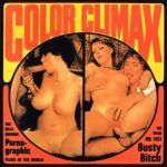 Color Climax Film 1361 - Busty Bitch big poster