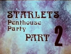 Raffaelli F-687 - Starlets Penthouse Party (Part 2) title screen