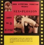 Sex Plosion D second poster