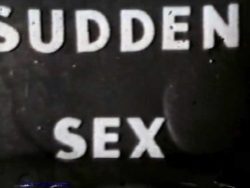Climax Films Sudden Sex title screen