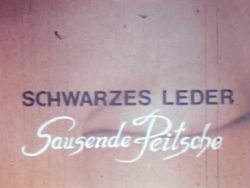 Golden Geissel Production 21 Schwarzes Leder Sausende Peitschen title screen