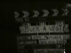 Suck a Wot title screen