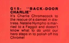 Gemini 15 Back Door Charlie description
