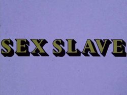 Diverse Industries Sex Slave title screen