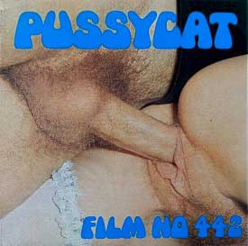Pussycat Film 442 Fucking Fun compressed poster
