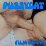Pussycat Film 442 Fucking Fun first box front