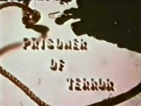 Prisoner Of Terror title screen