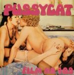 Pussycat Film 409 Lesbian Surprise first box front