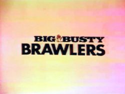 Big Busty Brawlers The Big Challenge logo