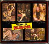 The Best Of Nubon 4 Hogtied and Paddled In Mikes Cellar box front