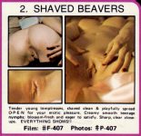 F-407 Shaved Beavers