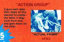 FX-2 Action Group