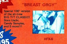 FX-6 Breast Orgy