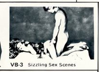 VB-3 (h) - Sizzling Sex Scenes