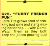 Gemini 25 Furry French Pun description