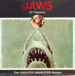 Jaws Of Pleasure 8 Double Jaws front box