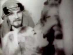 The Sheik's Orgy poster