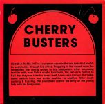 Cherry Busters 4 Sense A Rama back box