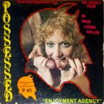 Possessed 5 Enjoyment Agency front box
