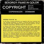 SexOrgy Film 104 back box