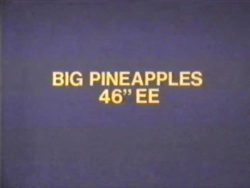 Big Pineapples 46 EE title screen
